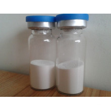 Sodium Hyaluronate Gel Filler Ha Injection GMP